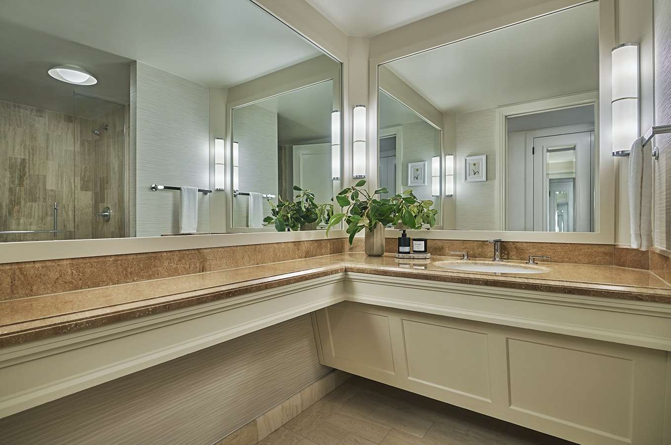 The image of Skyline Queen Queen